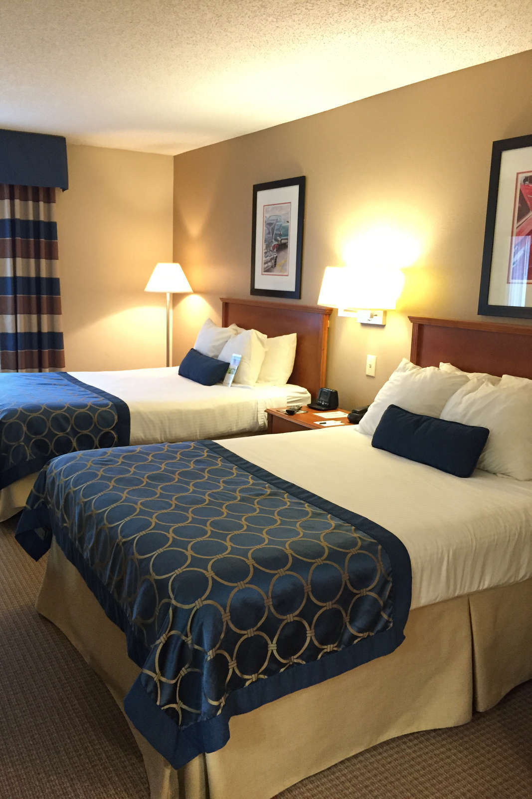 Hotel Wingate by Wyndham Concord Mills photo 3