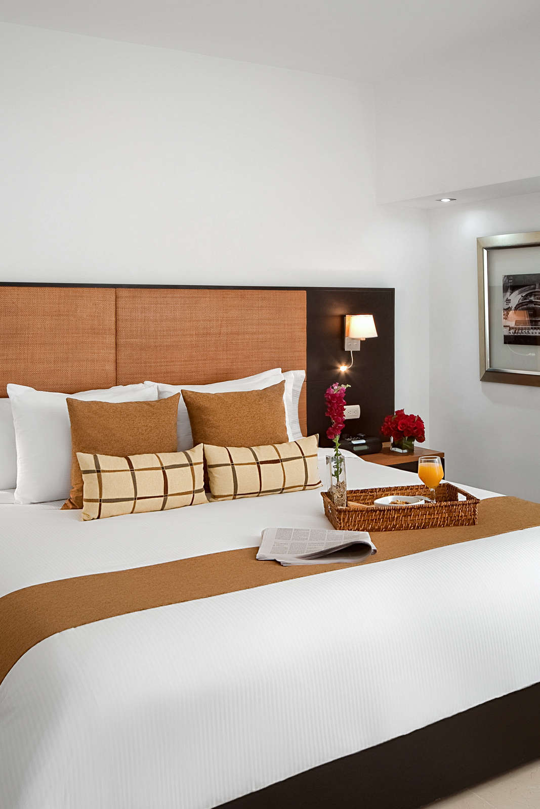 Hotel Radisson Santo Domingo photo 2