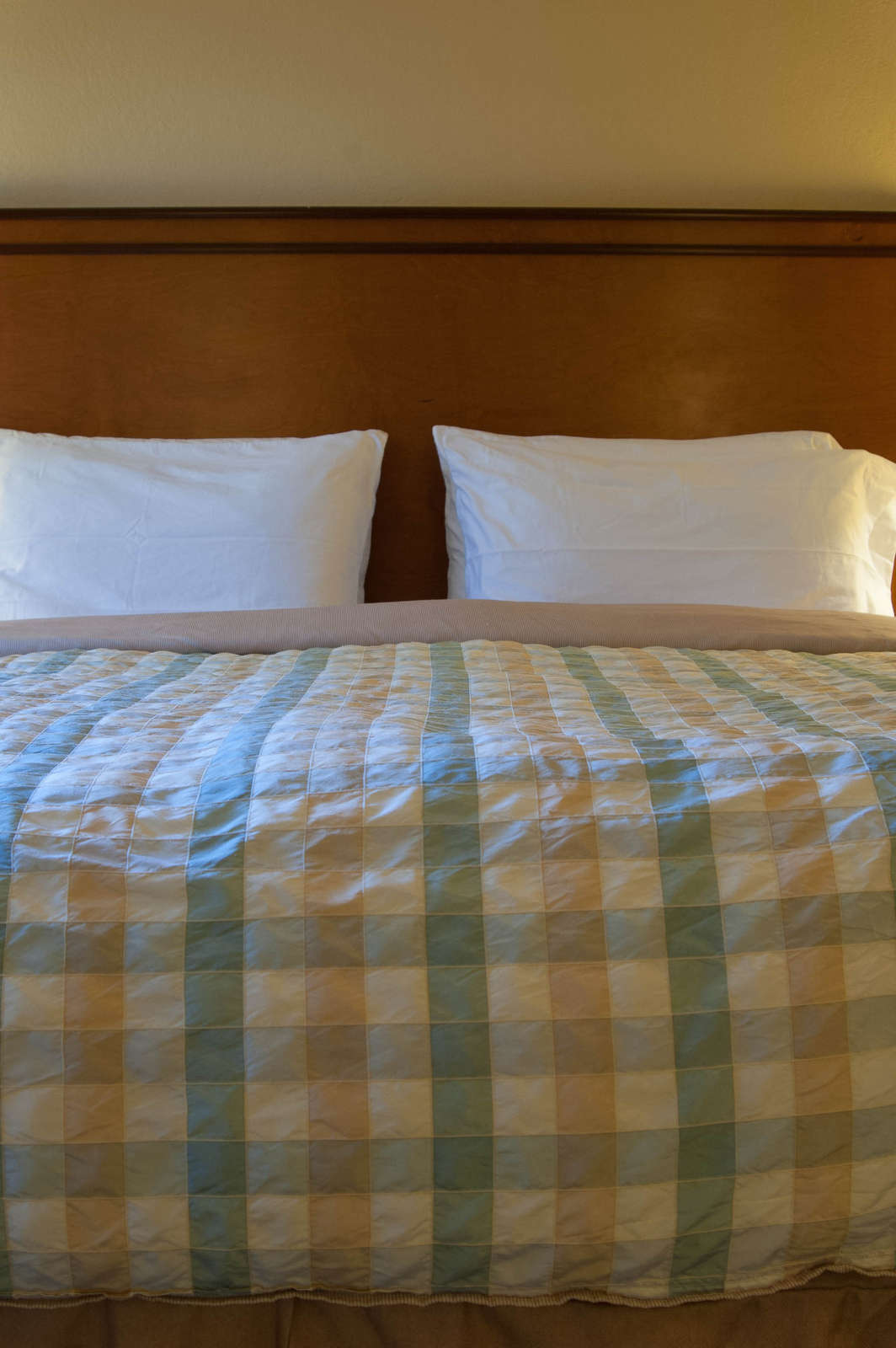 Hotel Red Cottage Inn & Suites photo 5