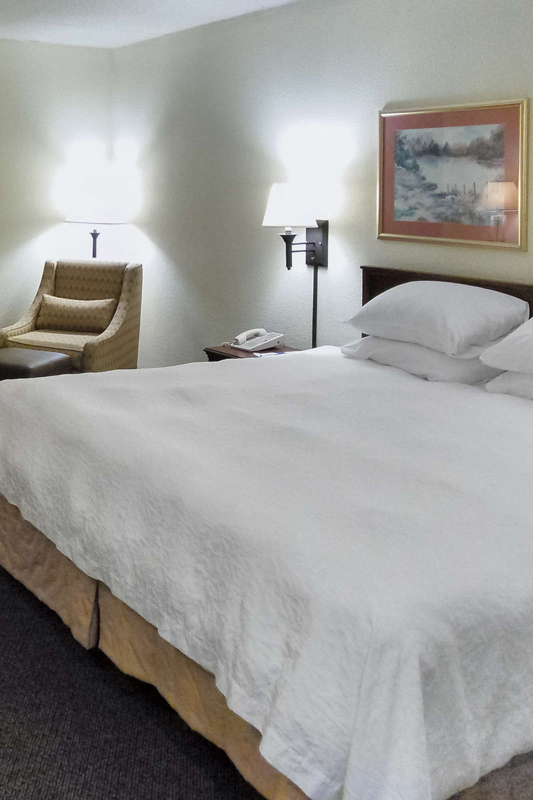 Hotel Wyndham Garden Greenville Airport photo 3