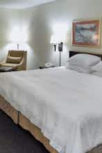 Hotel Wyndham Garden Greenville Airport photo 3