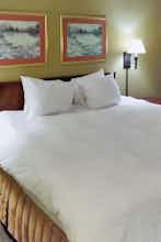 Hotel Wyndham Garden Greenville Airport photo 2