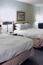 Hotel Wyndham Garden Greenville Airport photo 5