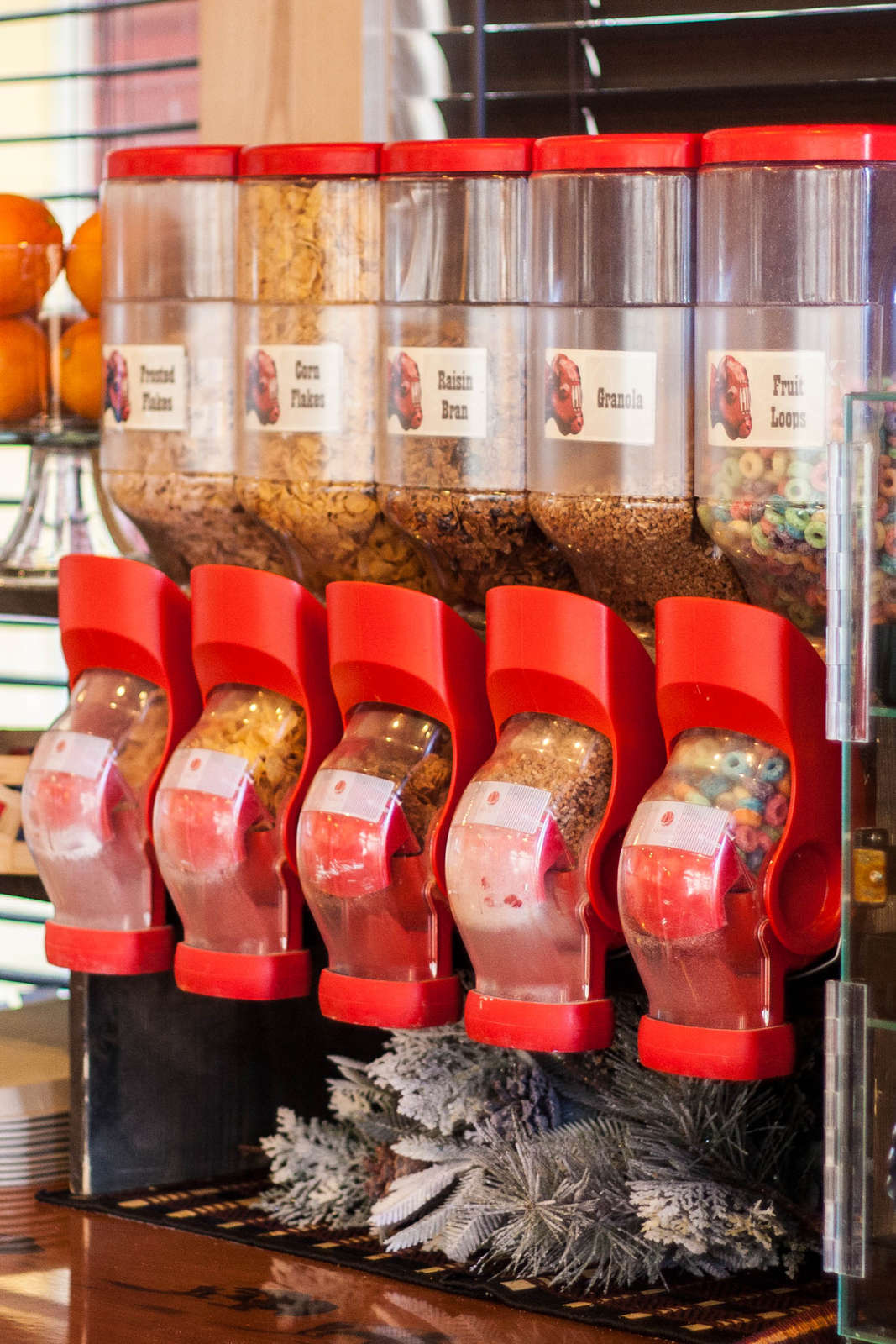 Hotel Painted Buffalo Inn photo 3