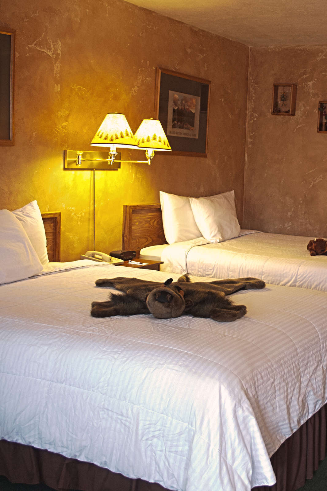 Hotel Painted Buffalo Inn photo 1