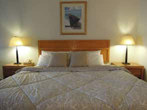 Hotel Firelite Lodge photo 2