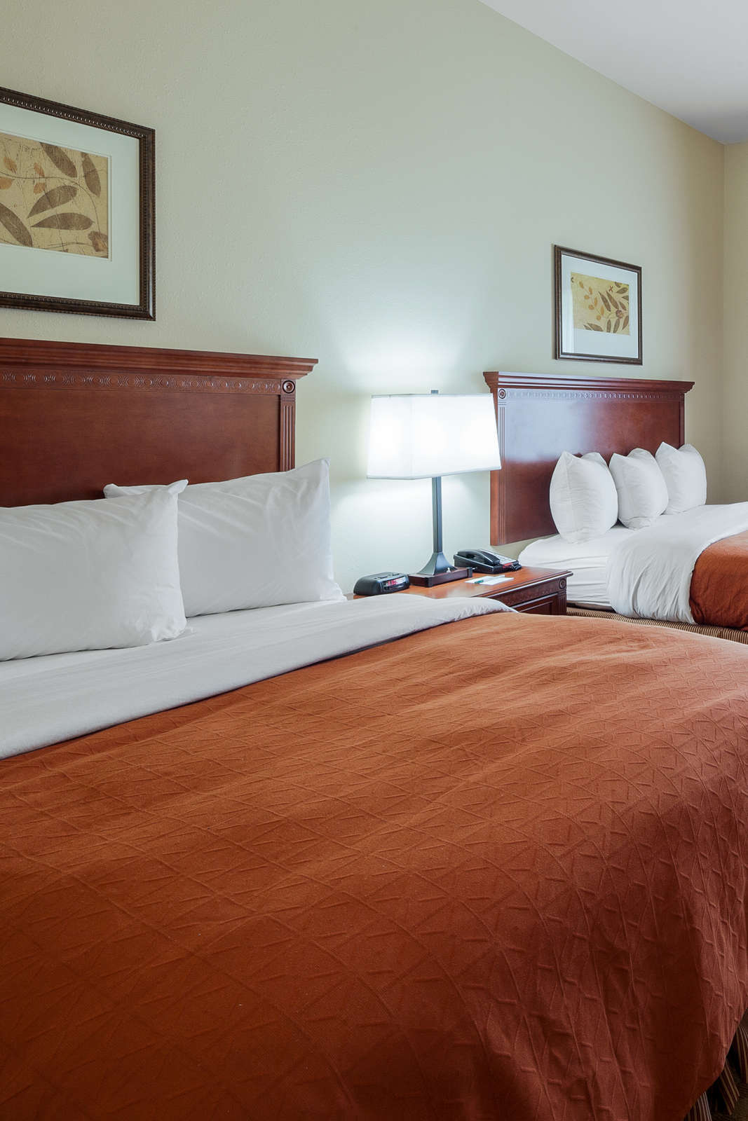 Hotel Country Inn & Suites Saraland photo 1