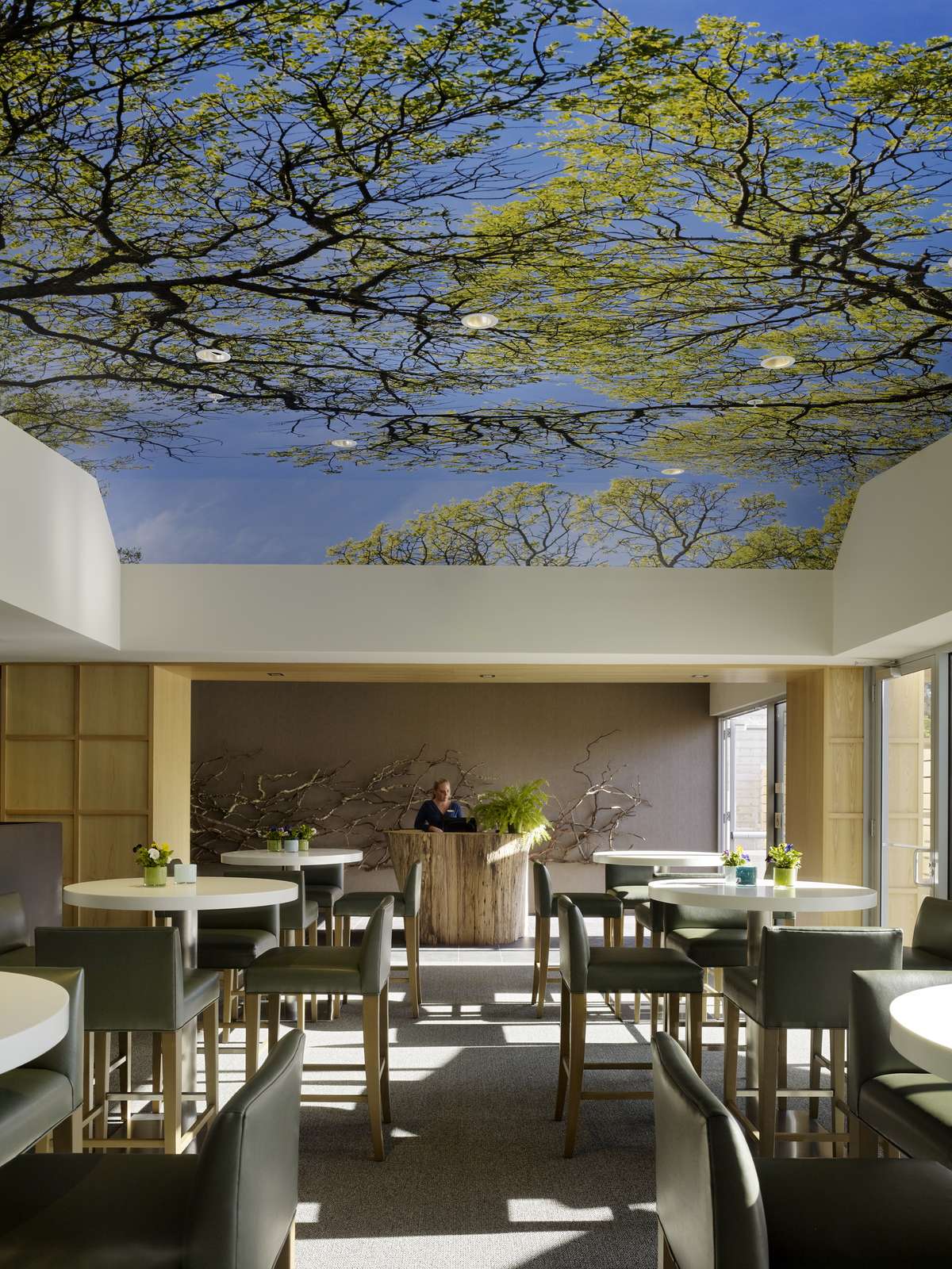 Hotel Hotel Paradox photo 1