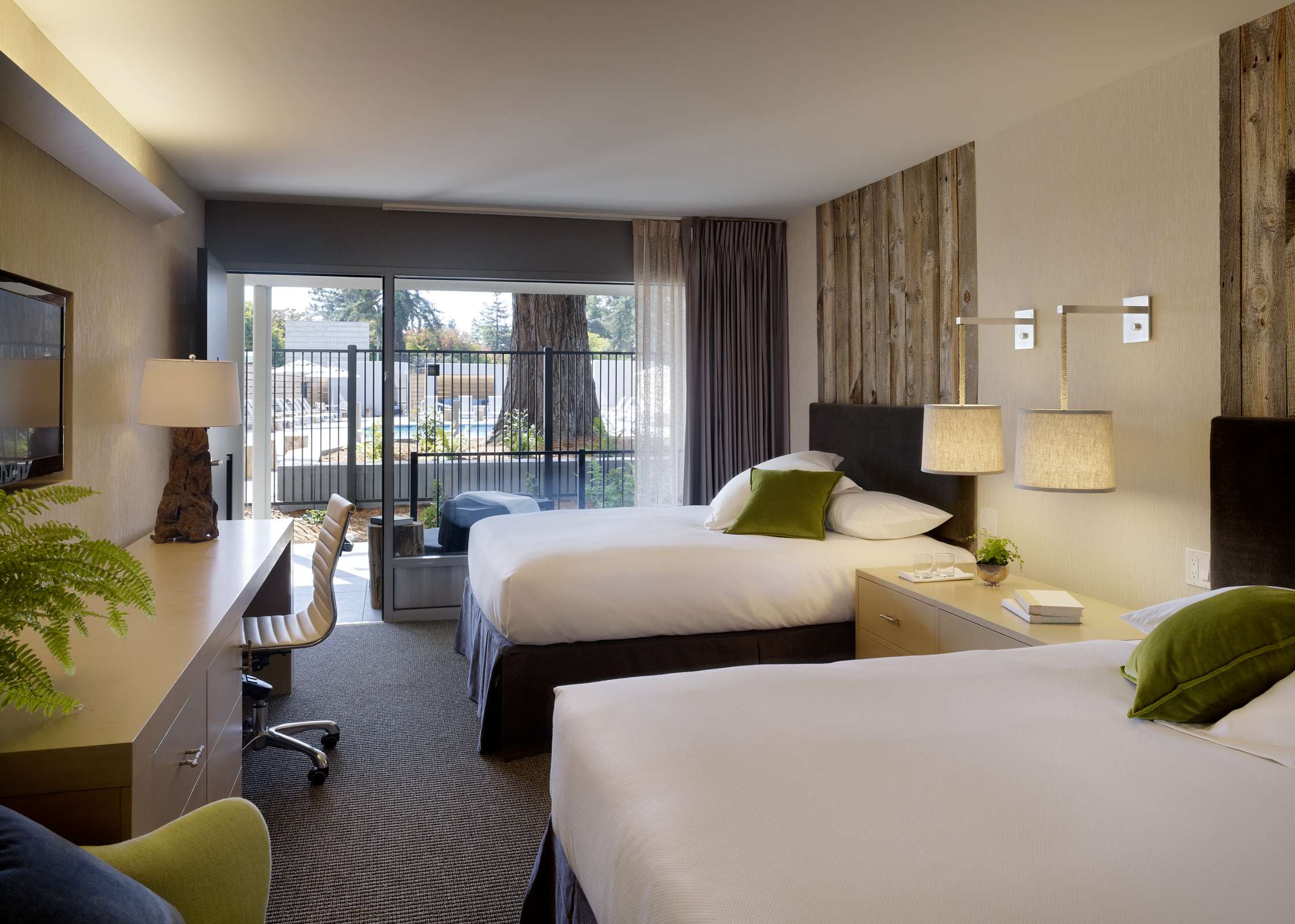 Hotel Hotel Paradox photo 4