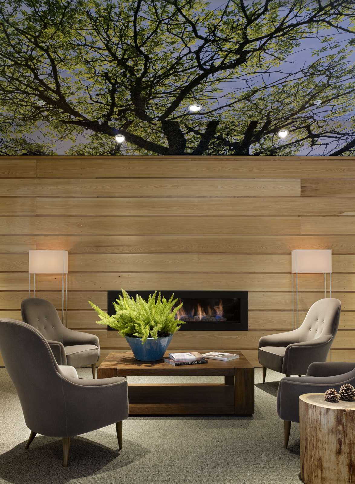 Hotel Hotel Paradox photo 3