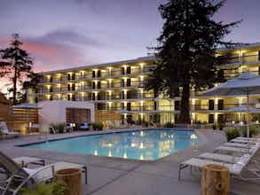 Hotel Hotel Paradox photo 2