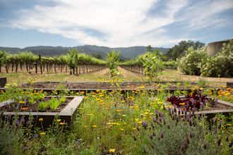 Hotel Harvest Inn by Charlie Palmer photo 5