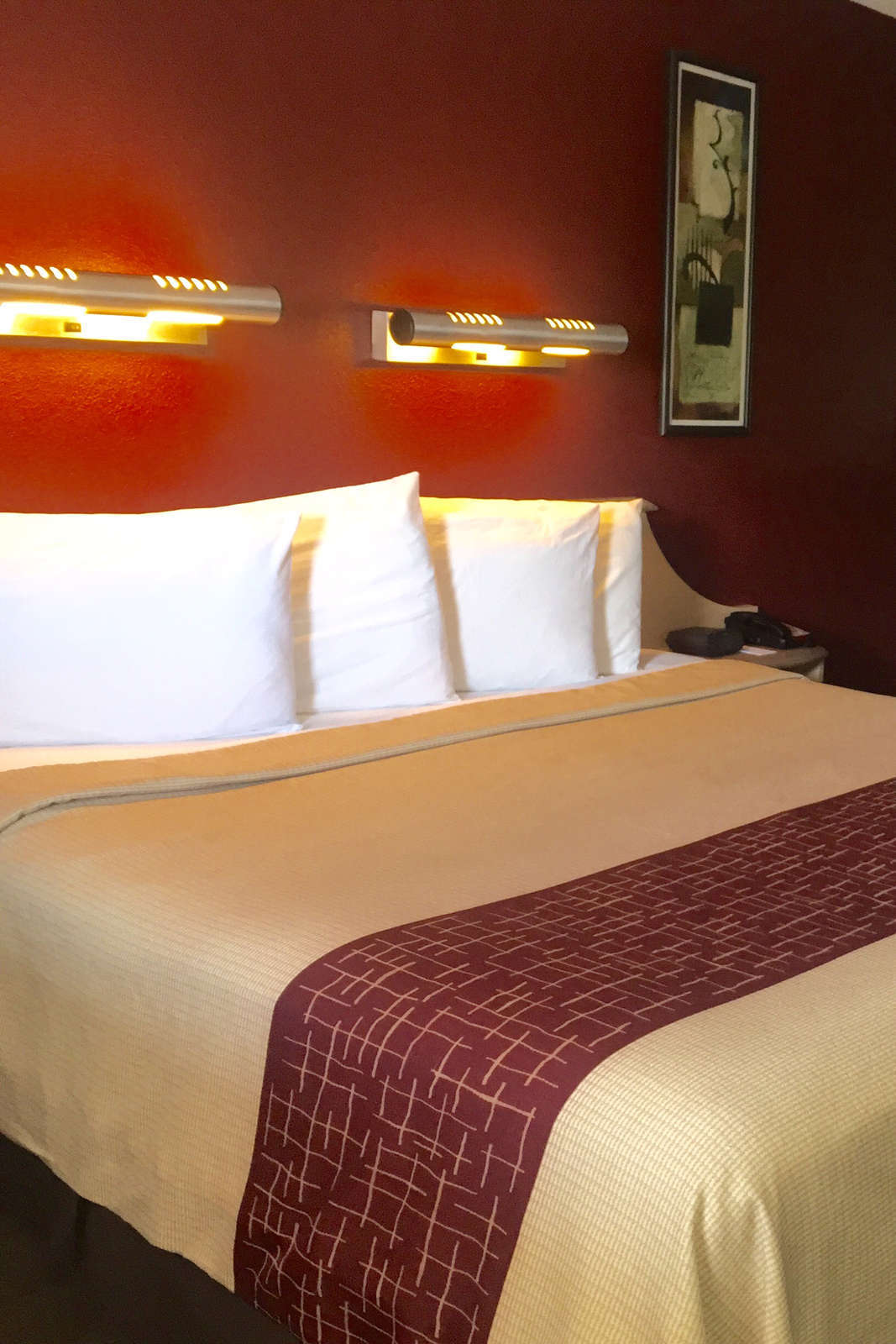 Hotel Red Roof Inn International Dr/Convention Center photo 3