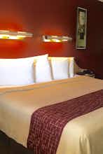 Hotel Red Roof Inn International Dr/Convention Center photo 3