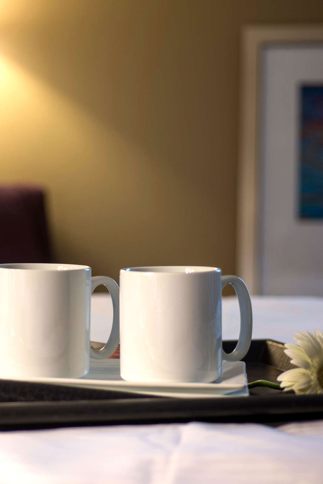 Hotel Hotel Marshfield photo 5