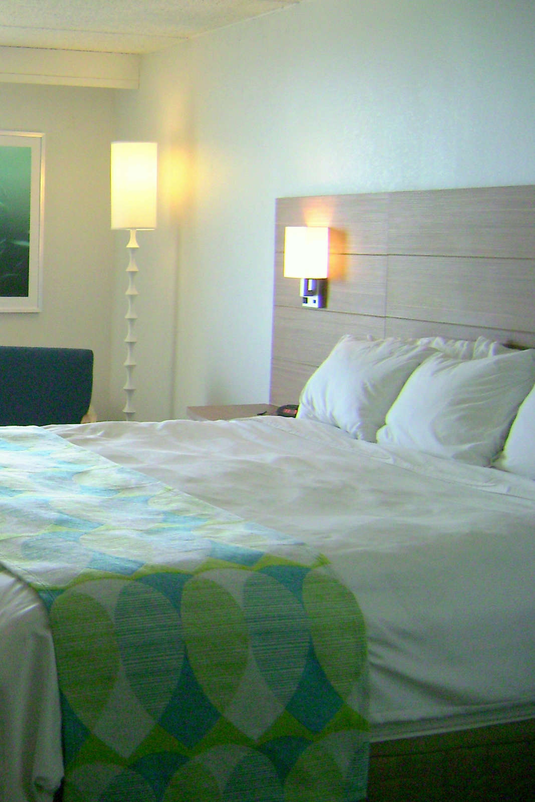 Hotel Radisson Hotel Corpus Christi Beach photo 2