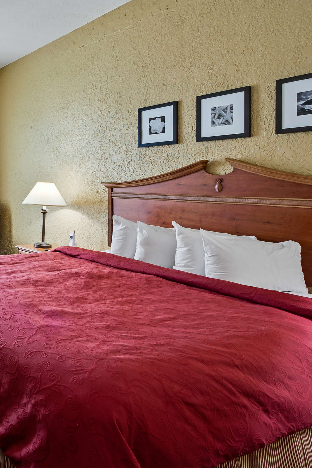 Hotel Country Inn & Suites By Carlson, Vero Beach I 95, Fl photo 2