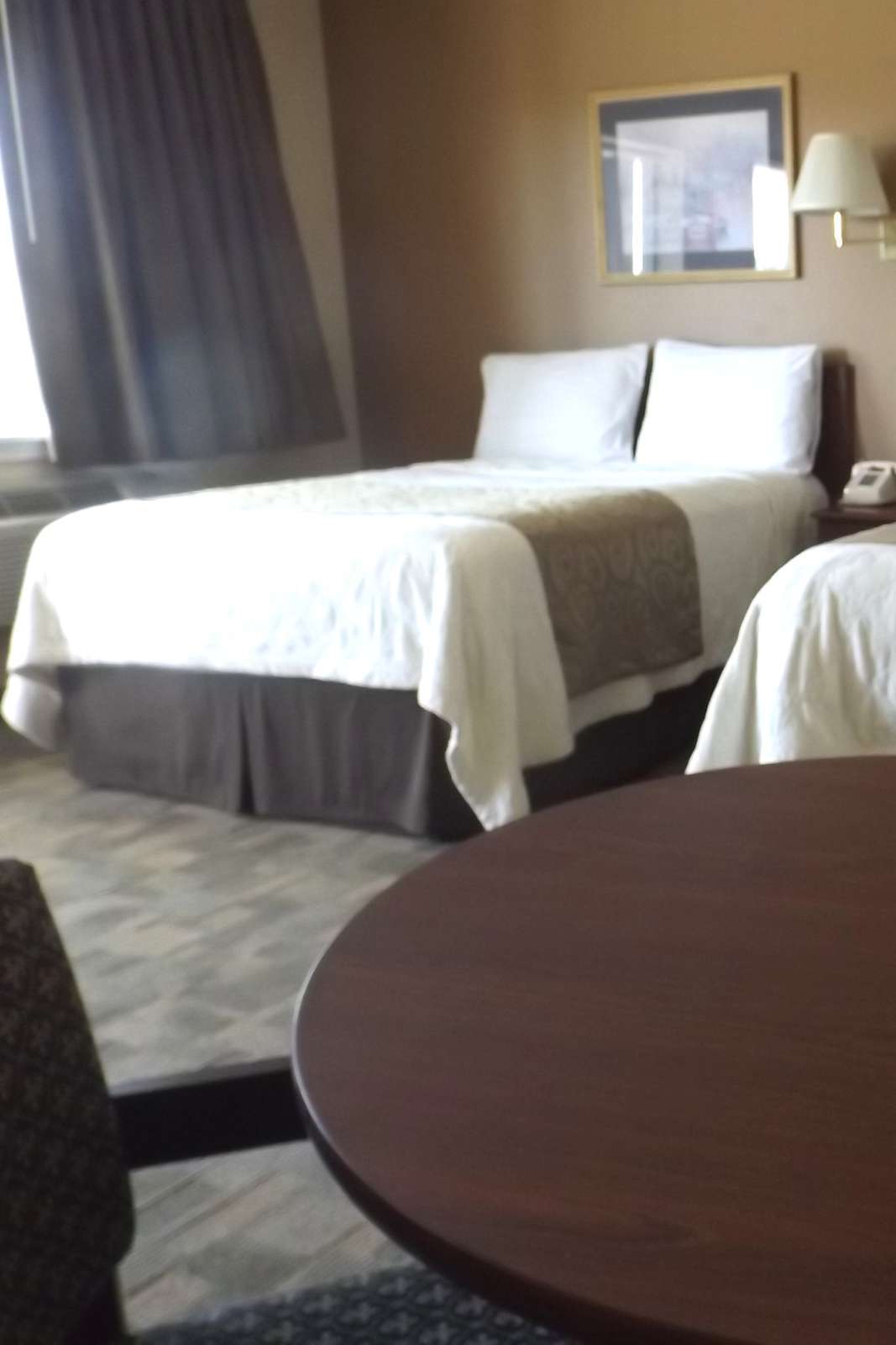 Hotel GuestHouse Inn and Suites Montesano photo 3