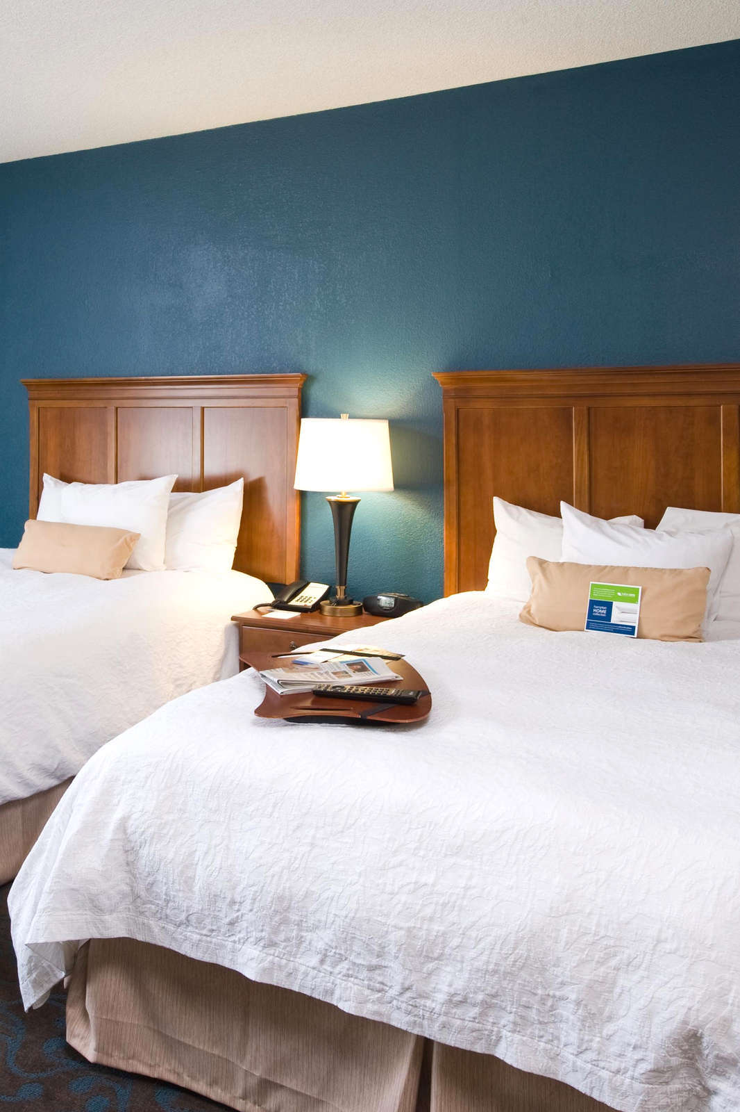 Hotel Hampton Inn Atlanta/Stone Mountain photo 1