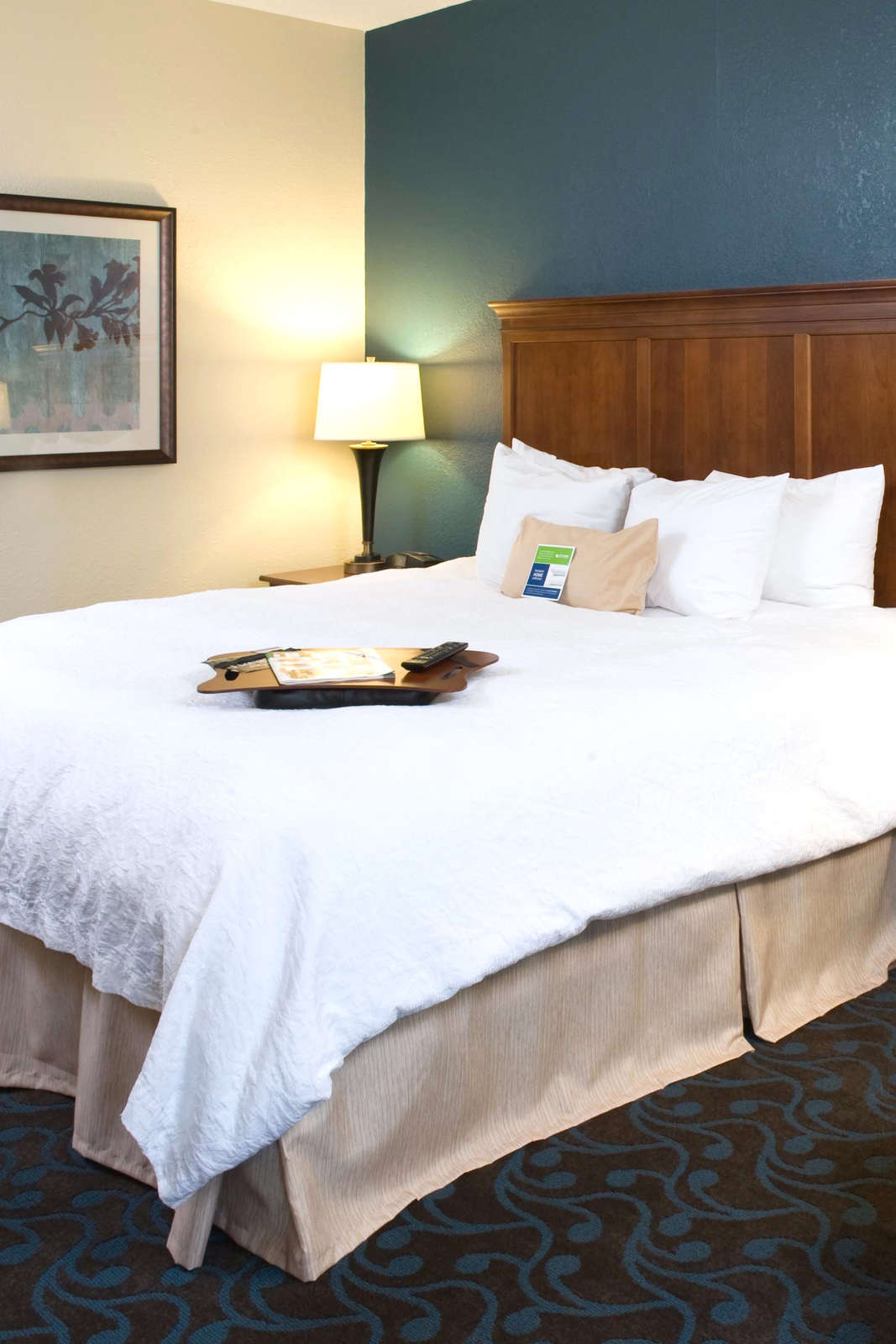 Hotel Hampton Inn Atlanta/Stone Mountain photo 3