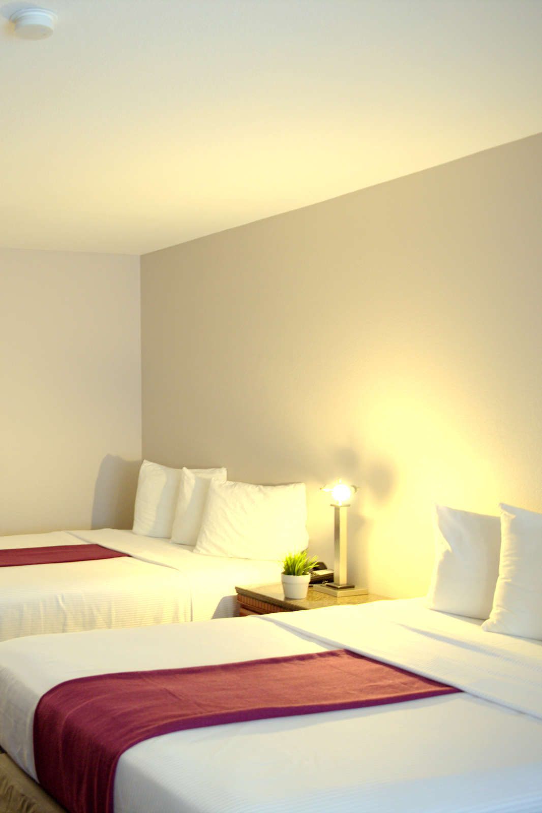 Hotel Hotel Iris photo 3