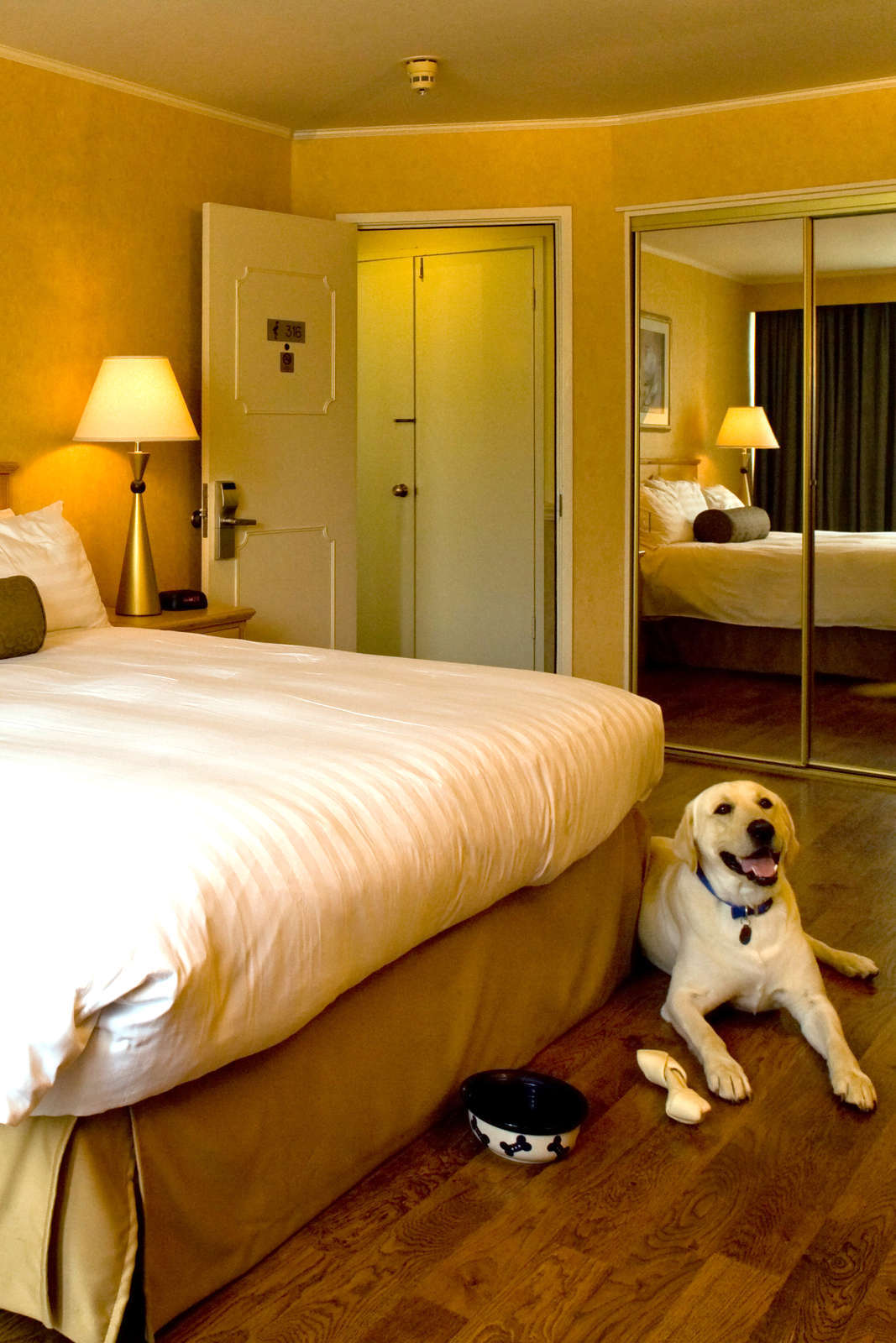 Hotel Flamingo Conference Resort photo 1