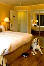 Hotel Flamingo Conference Resort photo 1
