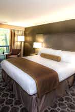 Hotel Flamingo Conference Resort photo 5