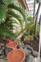 Hotel El Canario Boutique Hotel photo 4