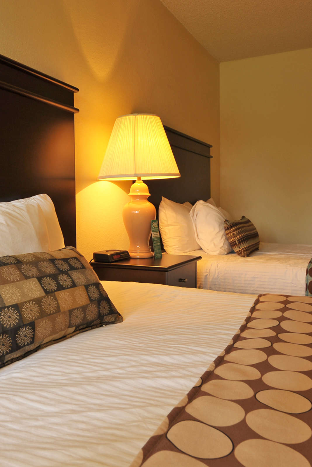 Hotel Cottonwood Suites Boise Riverside Downtown photo 2