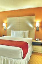 Hotel Best Western Plus Condado Palm Inn & Suites photo 5