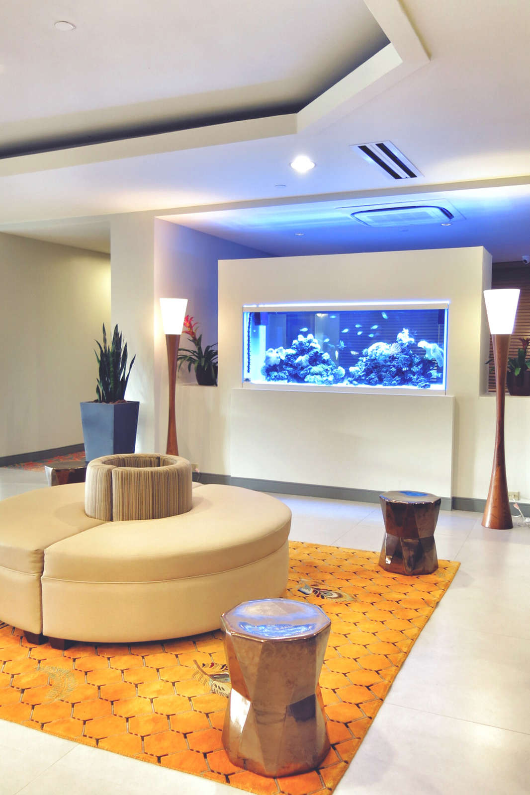 Hotel Best Western Plus Condado Palm Inn & Suites photo 1