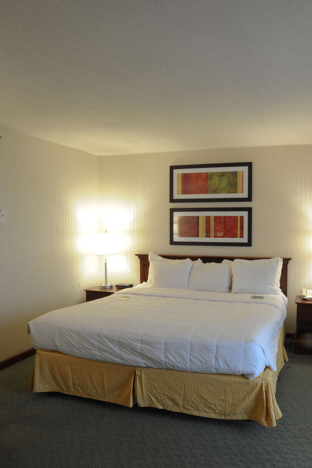 Hotel Radisson Cincinnati Riverfront photo 3