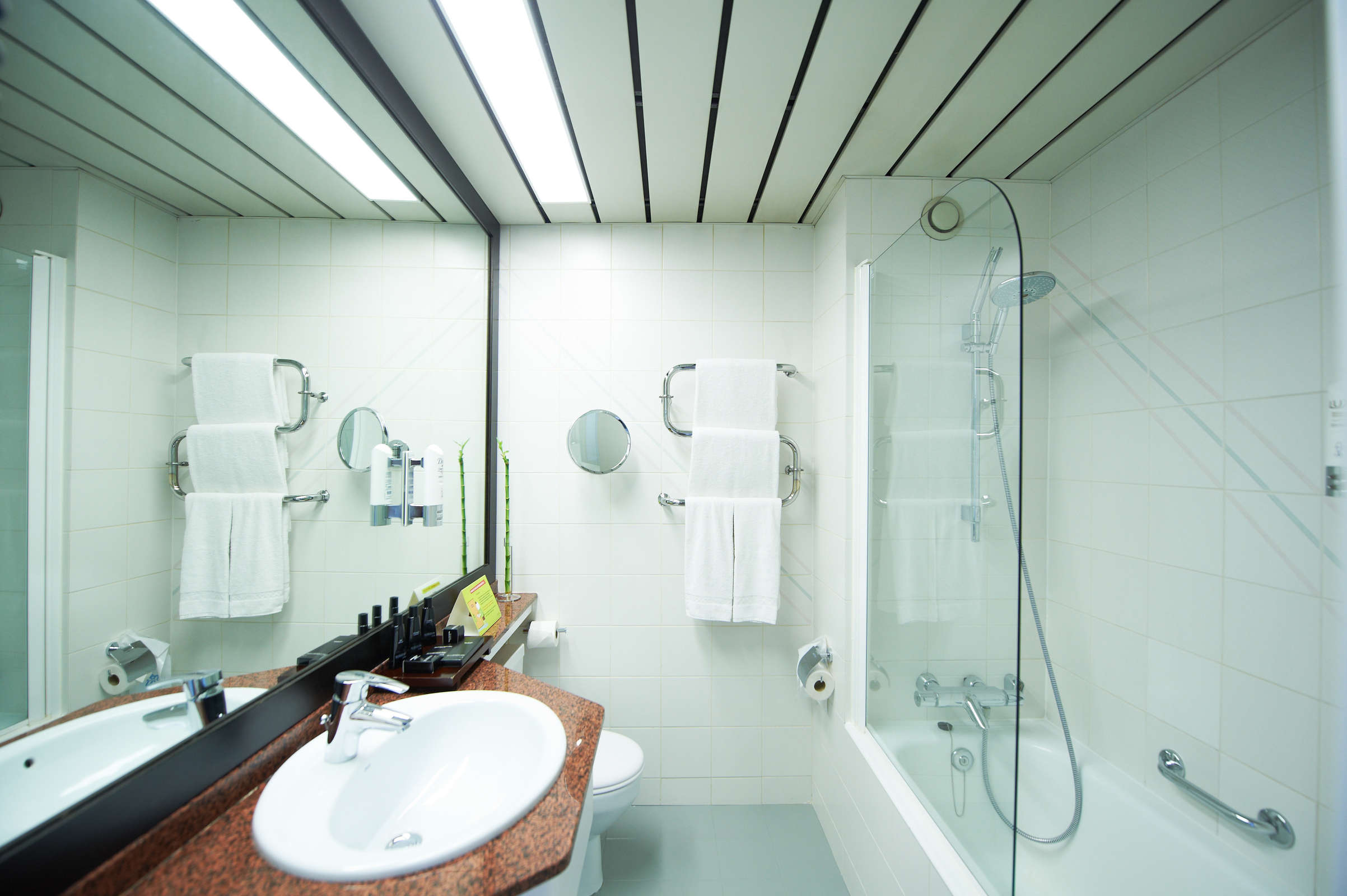 Hotel Husa President Park photo 3