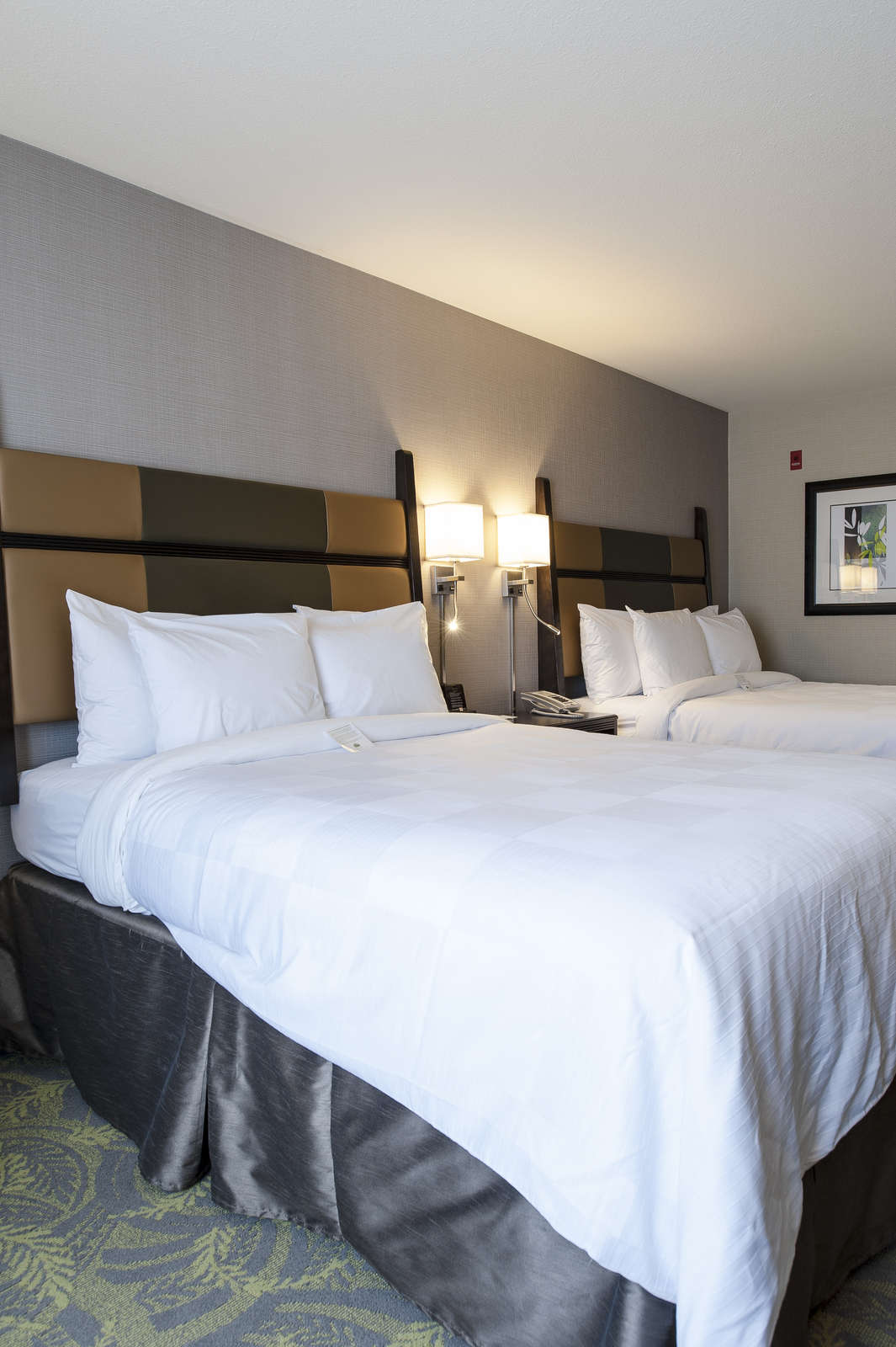 Hotel Country Inn & Suites San Carlos photo 4