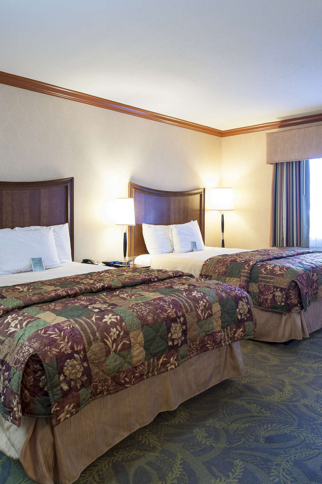 Hotel Hotel San Carlos photo 5