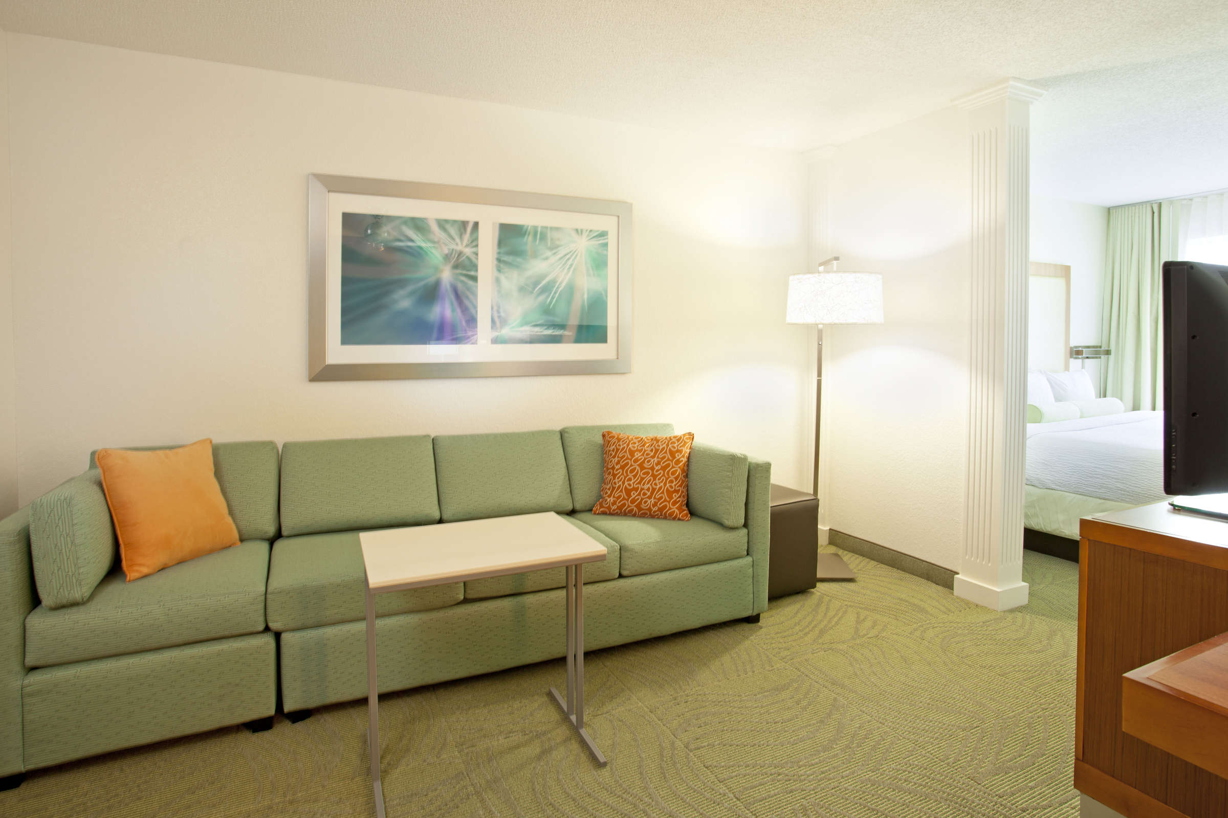 Hotel SpringHill Suites MetroCenter photo 4