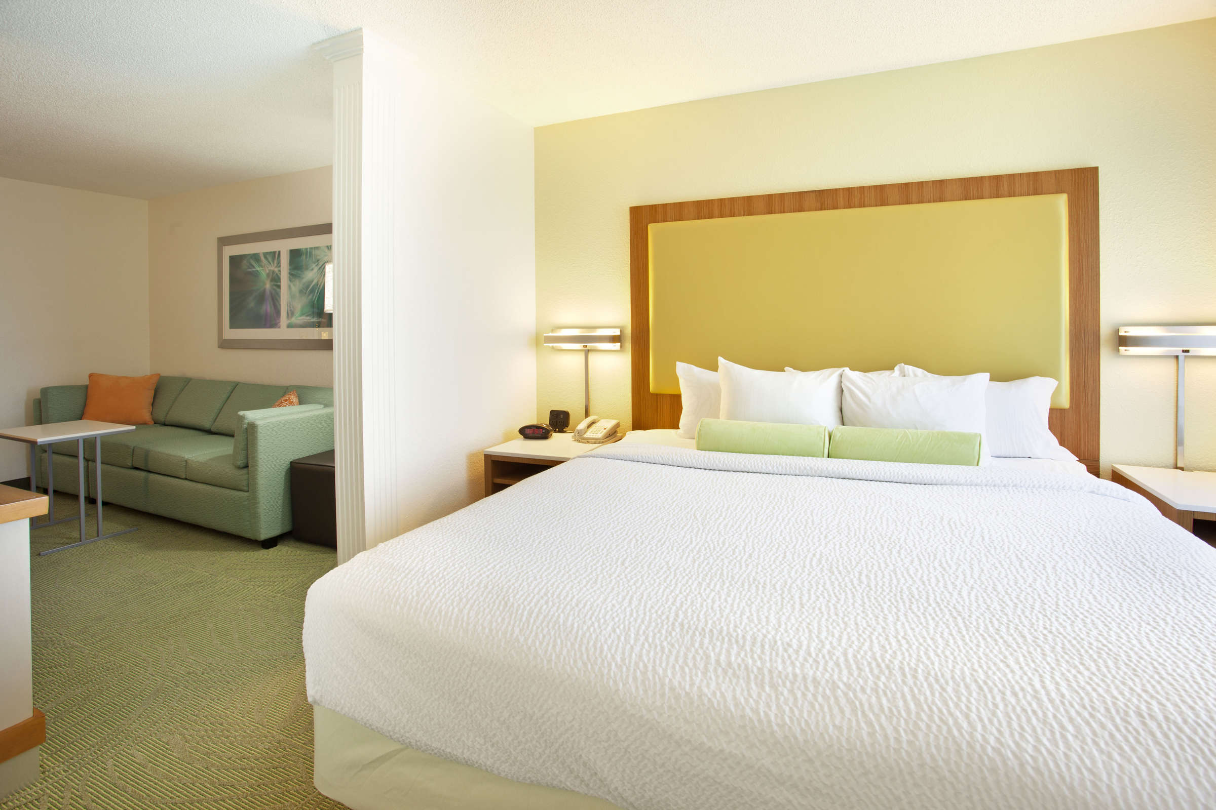 Hotel SpringHill Suites MetroCenter photo 3