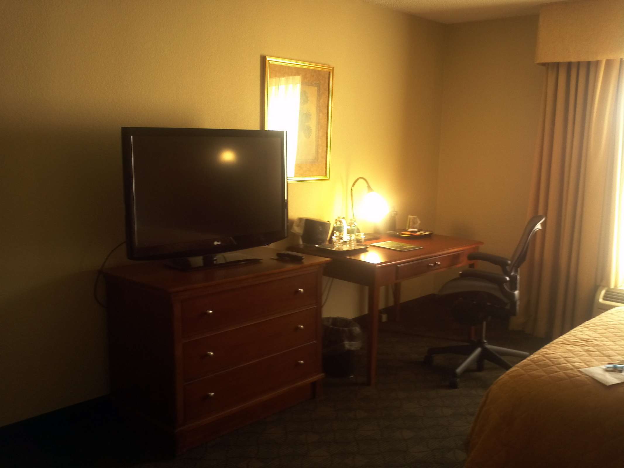 Hotel Wyndham Jacksonville Riverwalk photo 5