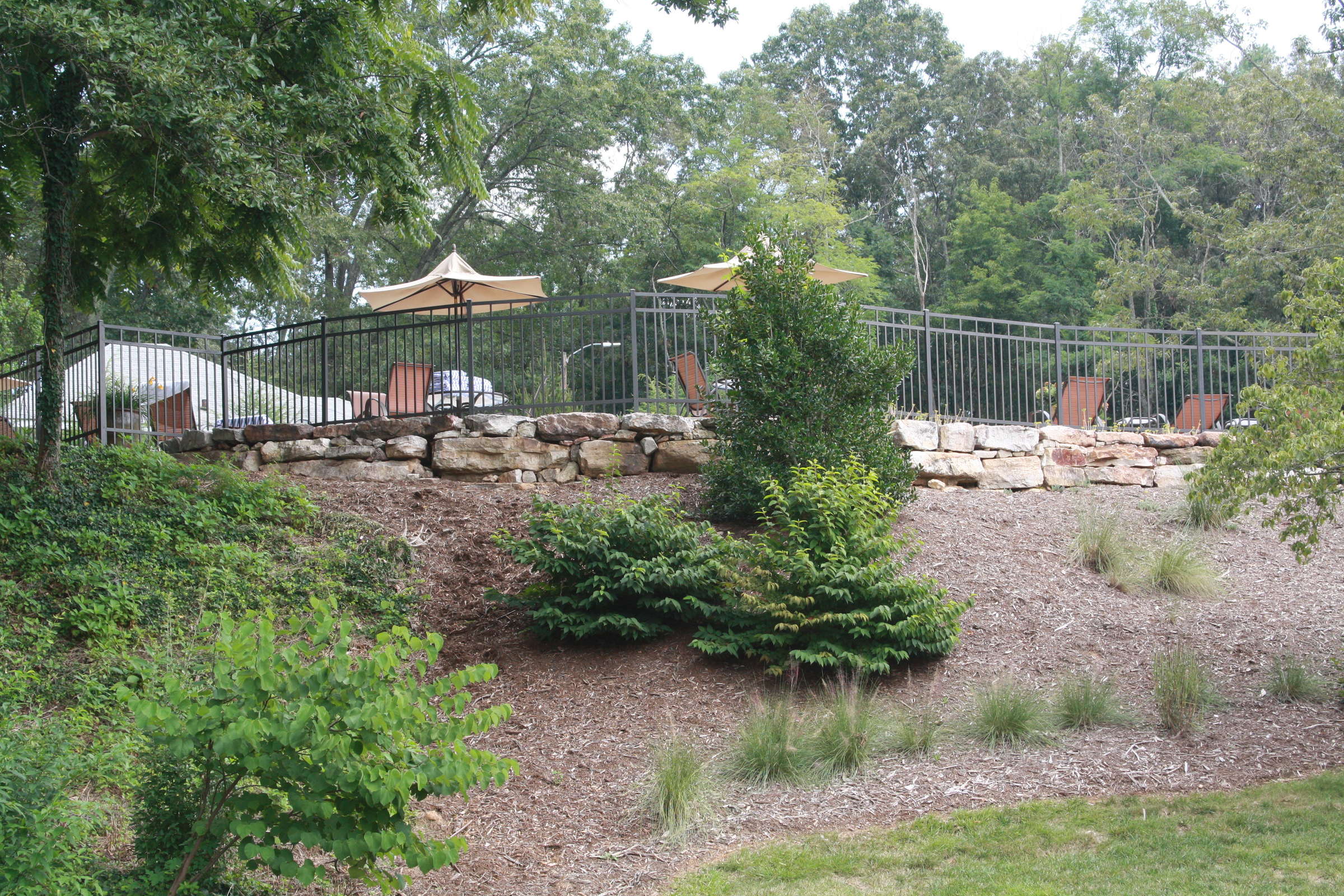 Hotel The Residences at Biltmore photo 1