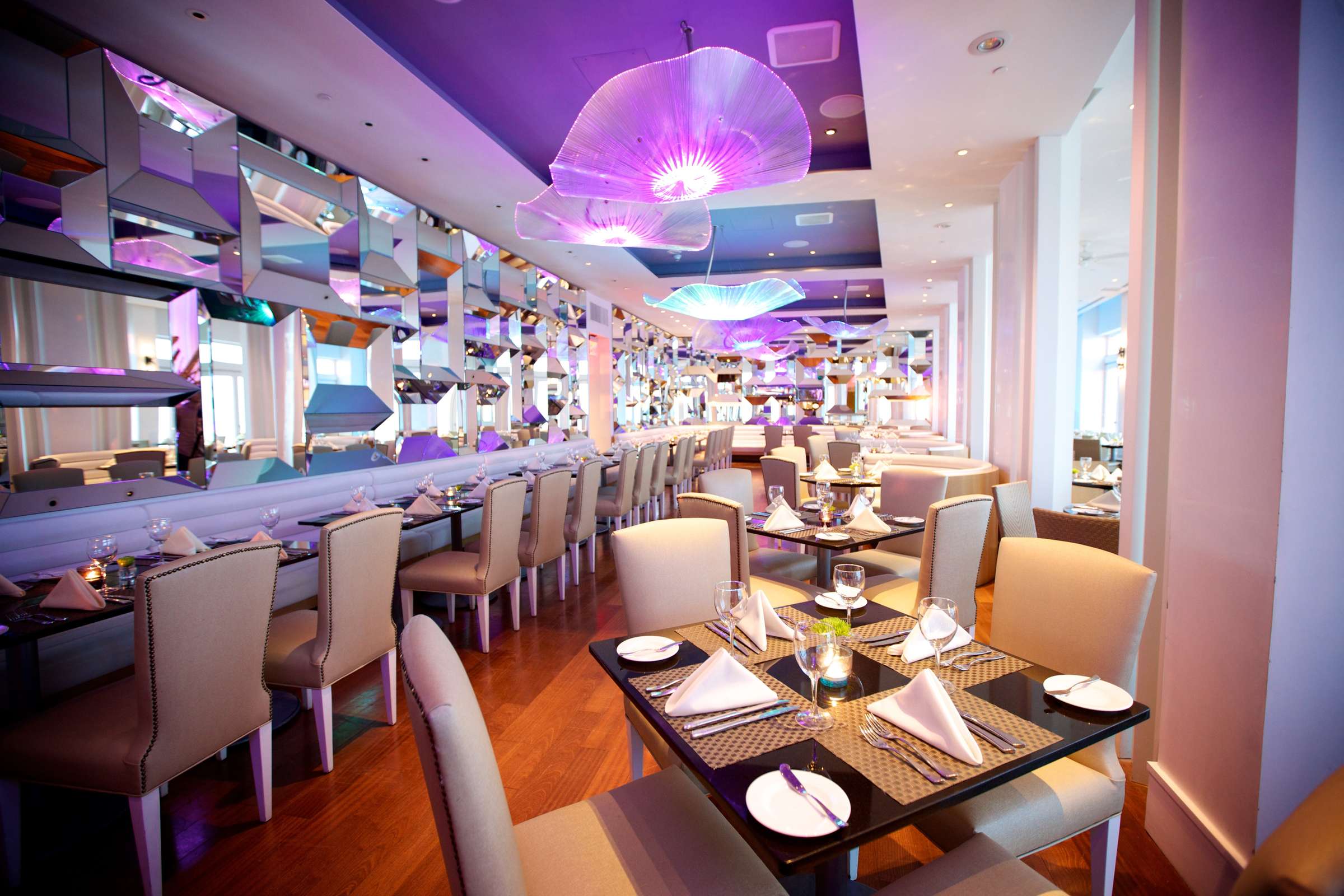 Hotel The Allegria Hotel photo 2