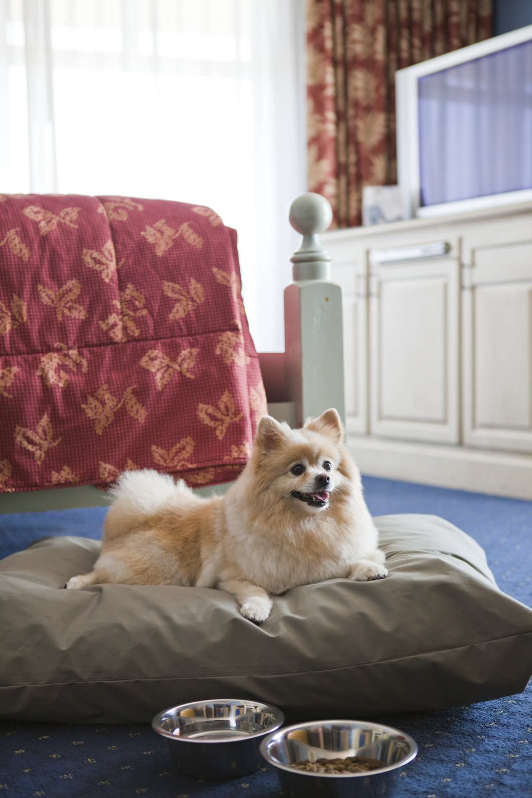 Hotel The Shores Resort & Spa photo 4