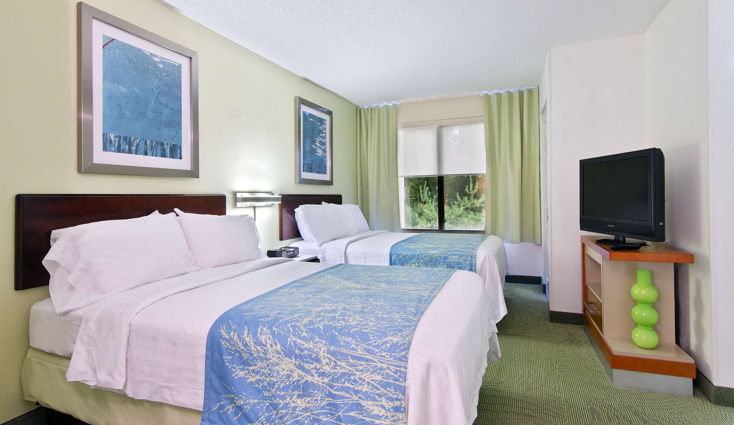 Hotel SpringHill Suites by Marriott Asheville photo 3