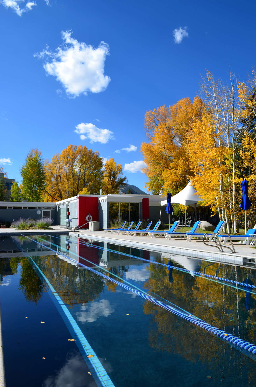 Hotel Aspen Meadows Resort photo 1