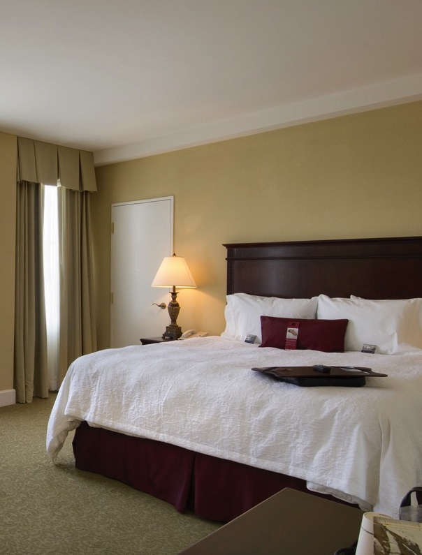 Hotel Hampton Inn & Suites Birmingham-Downtown-Tutwiler photo 1