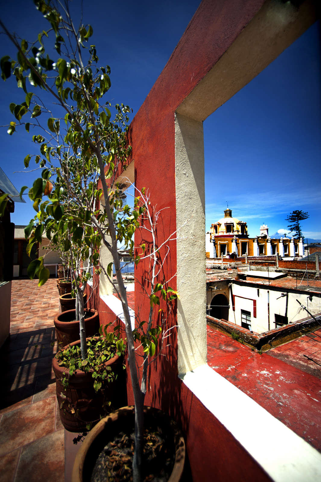 Hotel El Sueño Hotel and Spa photo 5