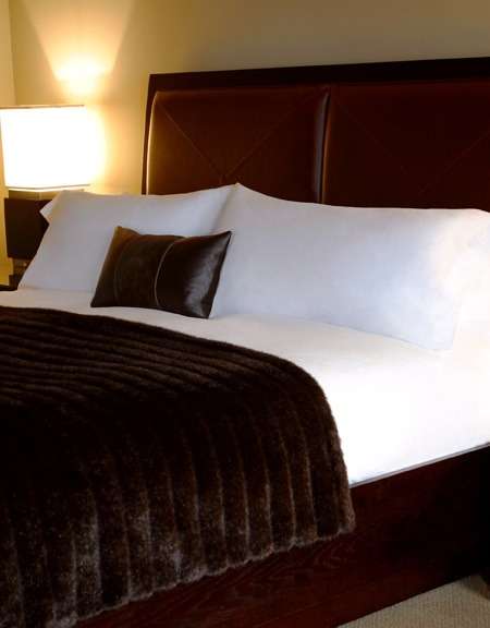 Hotel Hotel Valencia Riverwalk photo 3