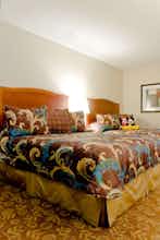 Hotel Tropicana Inn & Suites photo 4