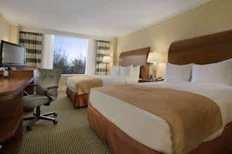Hotel Hilton Stamford Hotel & Executive Meeting Center photo 5