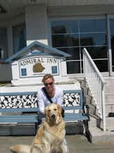 Hotel The Admiral Inn photo 4